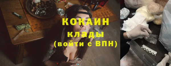 твердый Ельня
