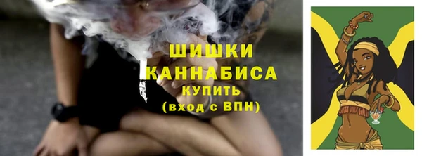 твердый Ельня