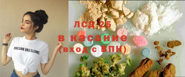 твердый Ельня