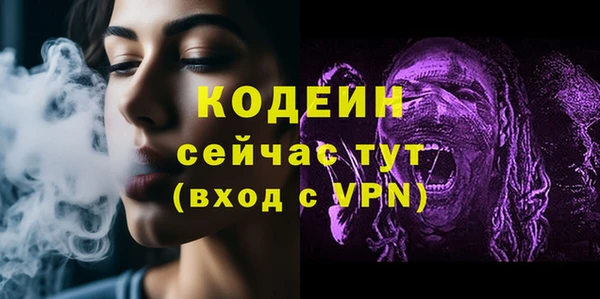 твердый Ельня