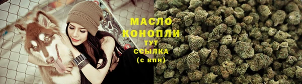 твердый Ельня