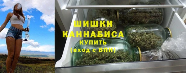 твердый Ельня